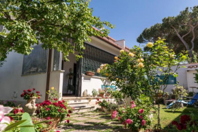 Alloggio per uso Turistico Lido Dei Pini